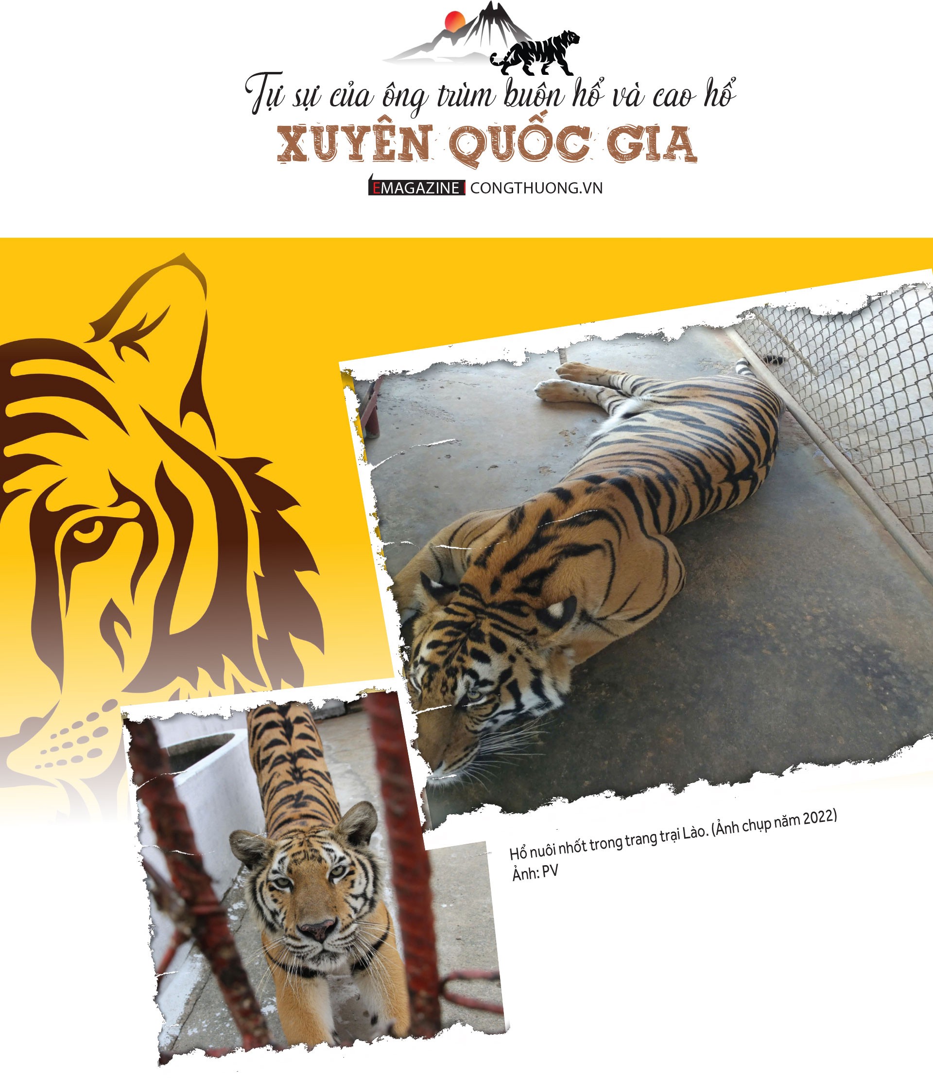 Luật ngầm quanh những nồi cao hổ bạc tỷ - Bài 1: Những toán người thì thầm trong ngôi nhà cổ Luật ngầm quanh những nồi cao hổ bạc tỷ - Bài 1: Những toán người thì thầm trong ngôi nhà cổ