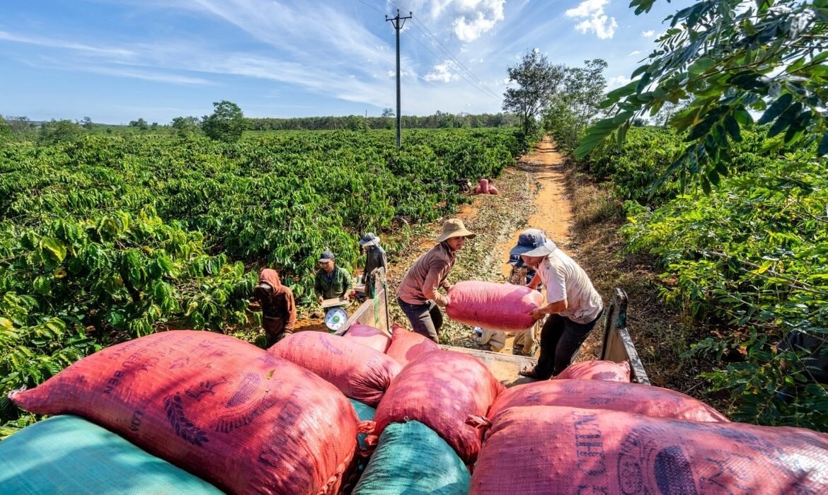 Thương vụ Việt nam Thương vụ Việt nam
