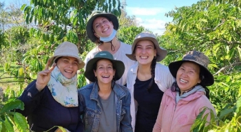 Dự đoán giá cà phê ngày mai 18/12/2024: Giá cà phê trong nước tiếp đà tăng?