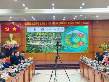 Việt Nam thí điểm thành công hệ thống dữ liệu rừng và vùng trồng cà phê