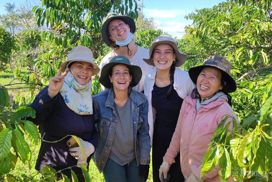 Dự đoán giá cà phê ngày mai 18/12/2024: Giá cà phê liệu