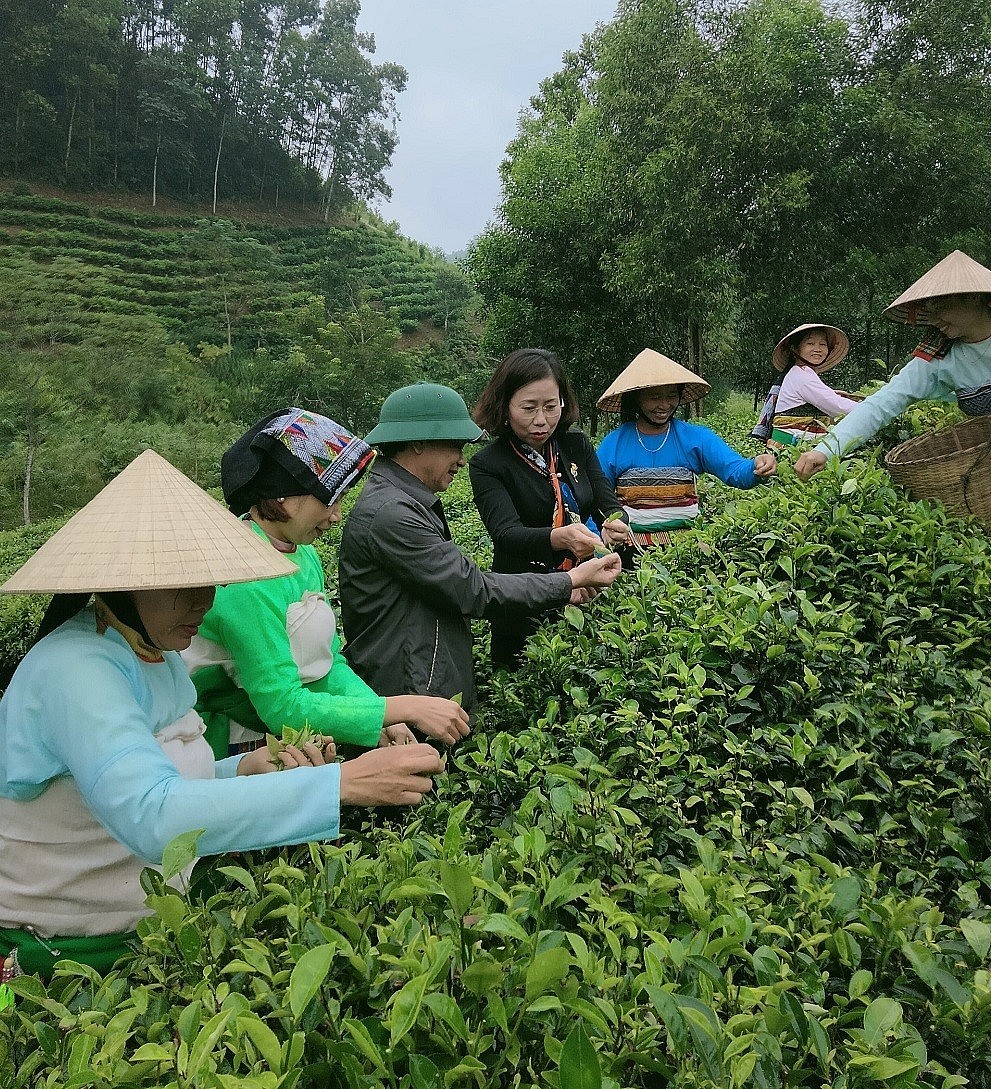 Nhận diện các thương hiệu OCOP tại Thanh Hóa: Bài 3- Những bất cập trong triển khai thực hiện Chương trình OCOP