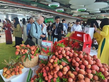 Đề xuất 4 chính sách, 3 lớp giá trị để phát triển nhãn hiệu, thương hiệu nông sản Việt Nam
