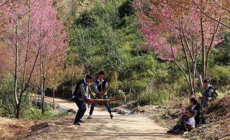 Yên Bái sắp diễn ra Festival khèn Mông, Lễ hội hoa Tớ dày Yên Bái sắp diễn ra Festival khèn Mông, Lễ hội hoa Tớ dày