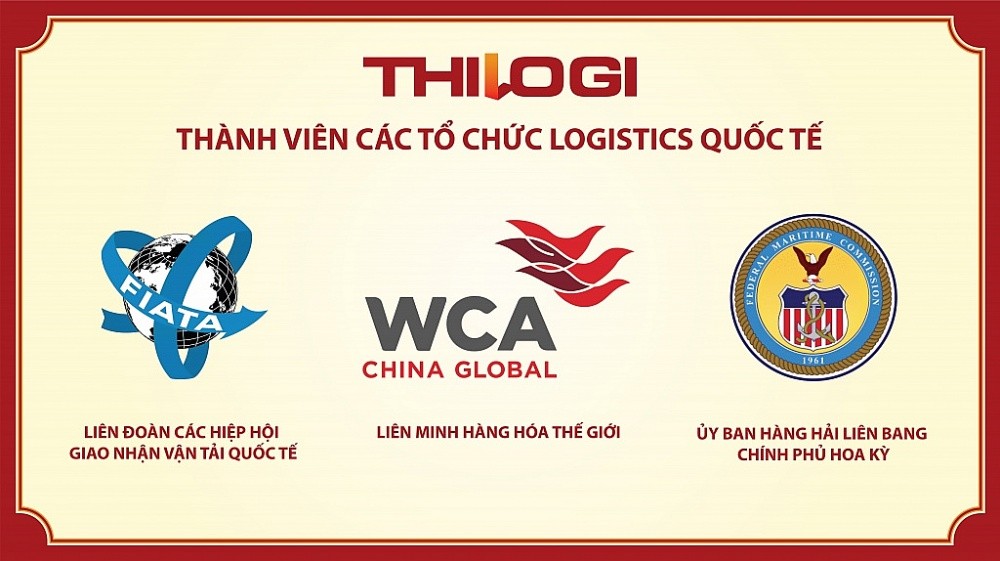 Hành trình định vị thương hiệu THILOGI Hành trình định vị thương hiệu THILOGI