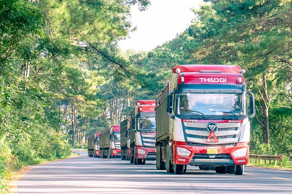 Hành trình định vị thương hiệu THILOGI Hành trình định vị thương hiệu THILOGI