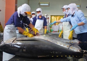 Xuất khẩu cá ngừ của Việt Nam sang Trung Đông tăng trưởng mạnh