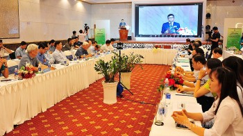 Sử dụng phân bón, thuốc bảo vệ thực vật an toàn, hiệu quả là vấn đề cấp thiết