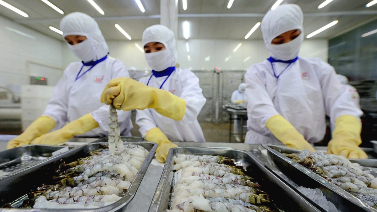 tôm Việt Nam trở nên hấp dẫn hơn trong mắt các nhà nhập khẩu Hoa Kỳ