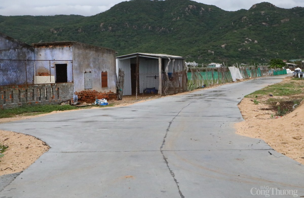 Tái khởi động điện hạt nhân Ninh Thuận: Bài 1 - Trở lại vùng điện hạt nhân sau nhiều năm chờ đợi