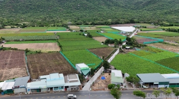 Trở lại nơi làm nhà máy điện hạt nhân ở Ninh Thuận: Bài 1 - Đồng thuận và mong chờ