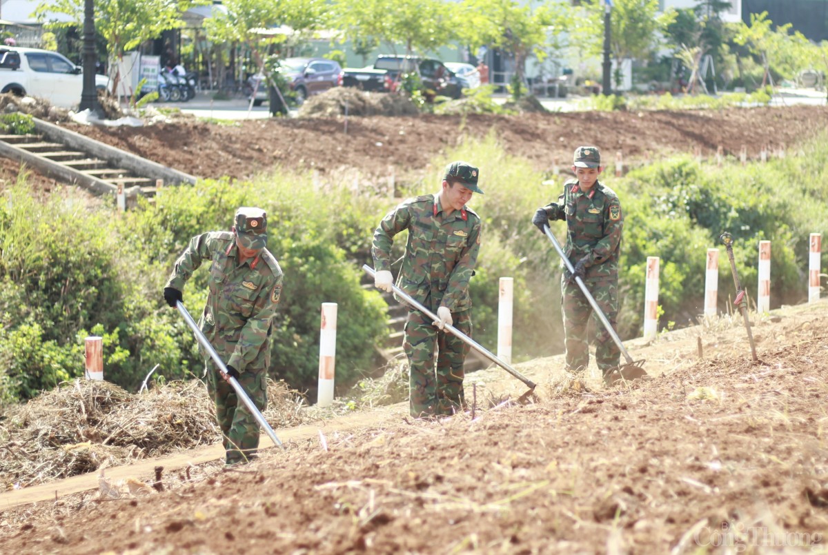Bộ đội, thanh niên Gia Lai hối hả dọn dẹp vệ sinh, làm đẹp môi trường đón Tết Ất Tỵ 2025 Bộ đội, thanh niên Gia Lai hối hả dọn dẹp vệ sinh, làm đẹp môi trường đón Tết Ất Tỵ 2025