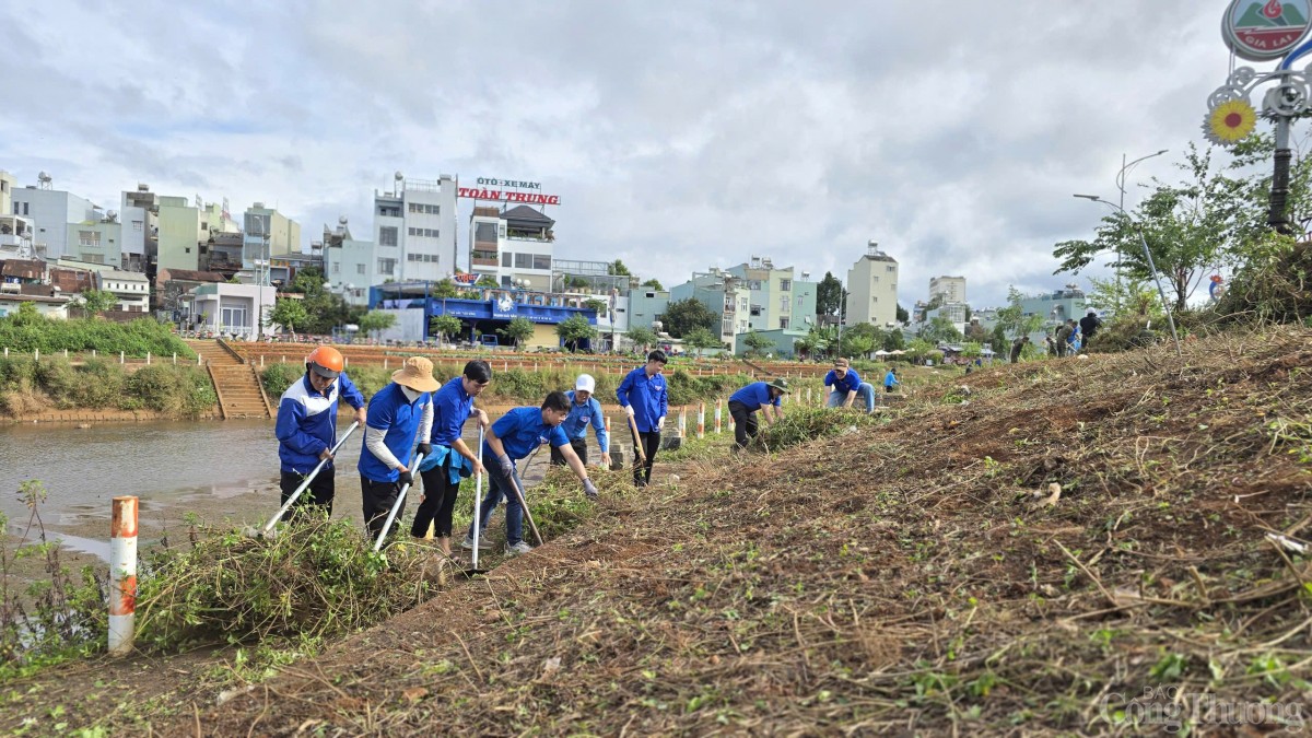 Bộ đội, thanh niên Gia Lai hối hả dọn dẹp vệ sinh, làm đẹp môi trường đón Tết Ất Tỵ 2025 Bộ đội, thanh niên Gia Lai hối hả dọn dẹp vệ sinh, làm đẹp môi trường đón Tết Ất Tỵ 2025