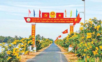 Công nhận 3 huyện đạt chuẩn nông thôn mới