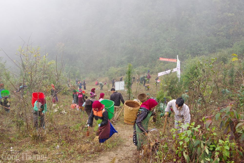 Đồn Biên phòng Lũng Cú tiếp tục trồng cây xanh bảo vệ biên giới Đồn Biên phòng Lũng Cú tiếp tục trồng cây xanh bảo vệ biên giới