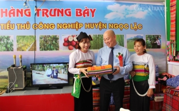 Thanh Hóa: Chương trình OCOP ‘ghi điểm’ với nhiều sản phẩm xuất khẩu sang các thị trường khó tính