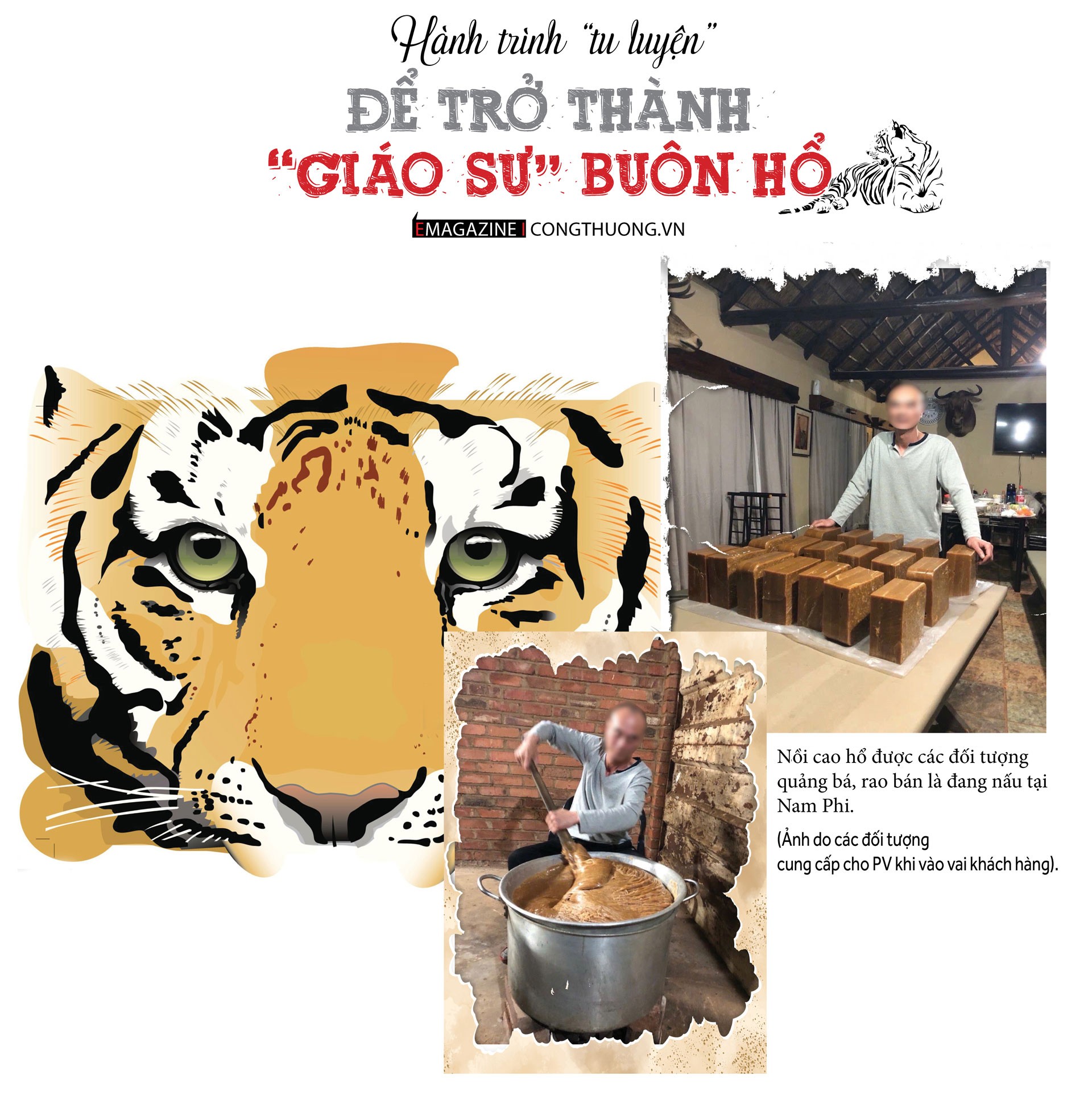 Thực hư thị trường cao hổ bạc tỷ - Bài 2: Góc khuất qua lời kể của 'Giáo sư cao hổ' Thực hư thị trường cao hổ bạc tỷ - Bài 2: Góc khuất qua lời kể của 'Giáo sư cao hổ'