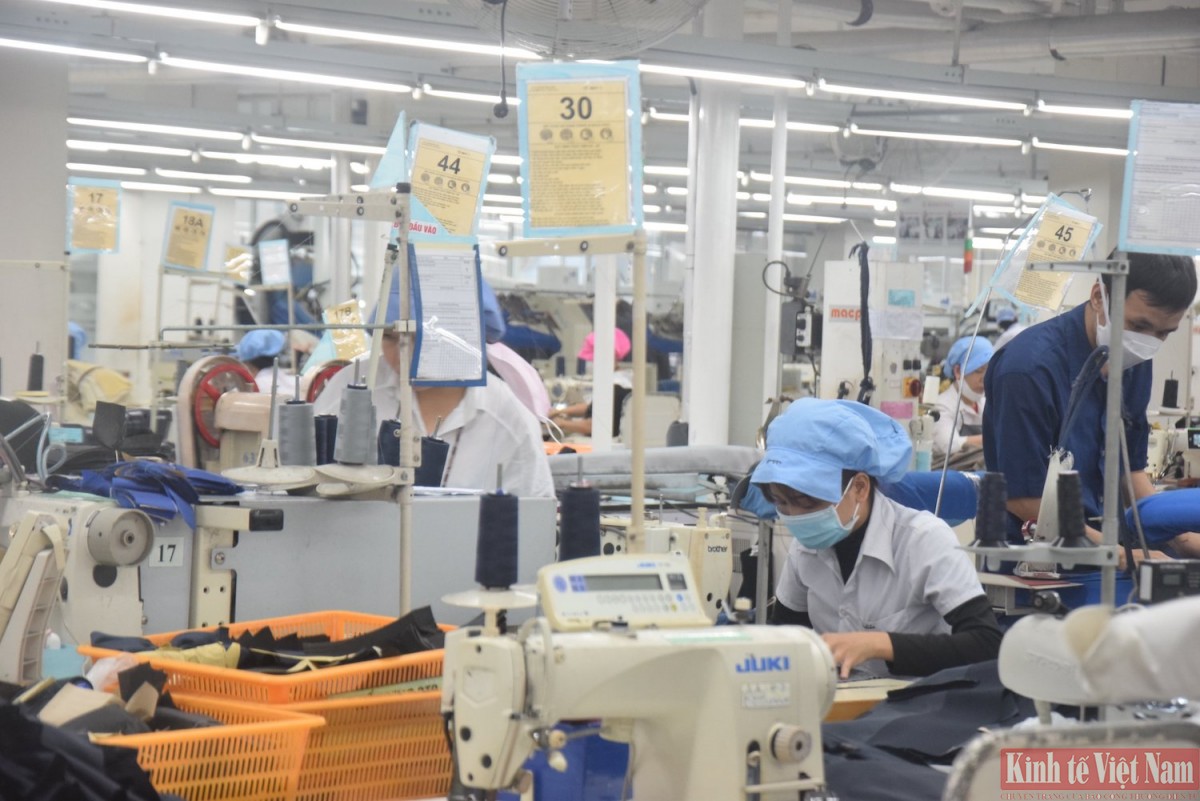 Doanh nghiệp Việt Nam phải chủ động sản xuất theo tiêu chuẩn xanh để có cơ hội thâm nhập và chinh phục người tiêu dùng New Zealand Doanh nghiệp Việt Nam phải chủ động sản xuất theo tiêu chuẩn xanh để có cơ hội thâm nhập và chinh phục người tiêu dùng New Zealand