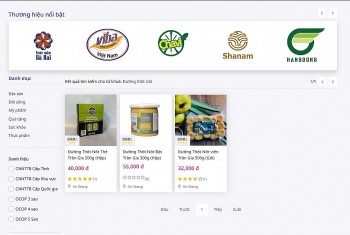 Sàn Việt - bệ phóng đưa đường thốt nốt thẻ Trần Gia vượt khỏi 'lũy tre làng'