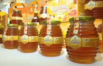 Đặc sản mật ong Tây Bắc 'phủ sóng' Sàn Việt