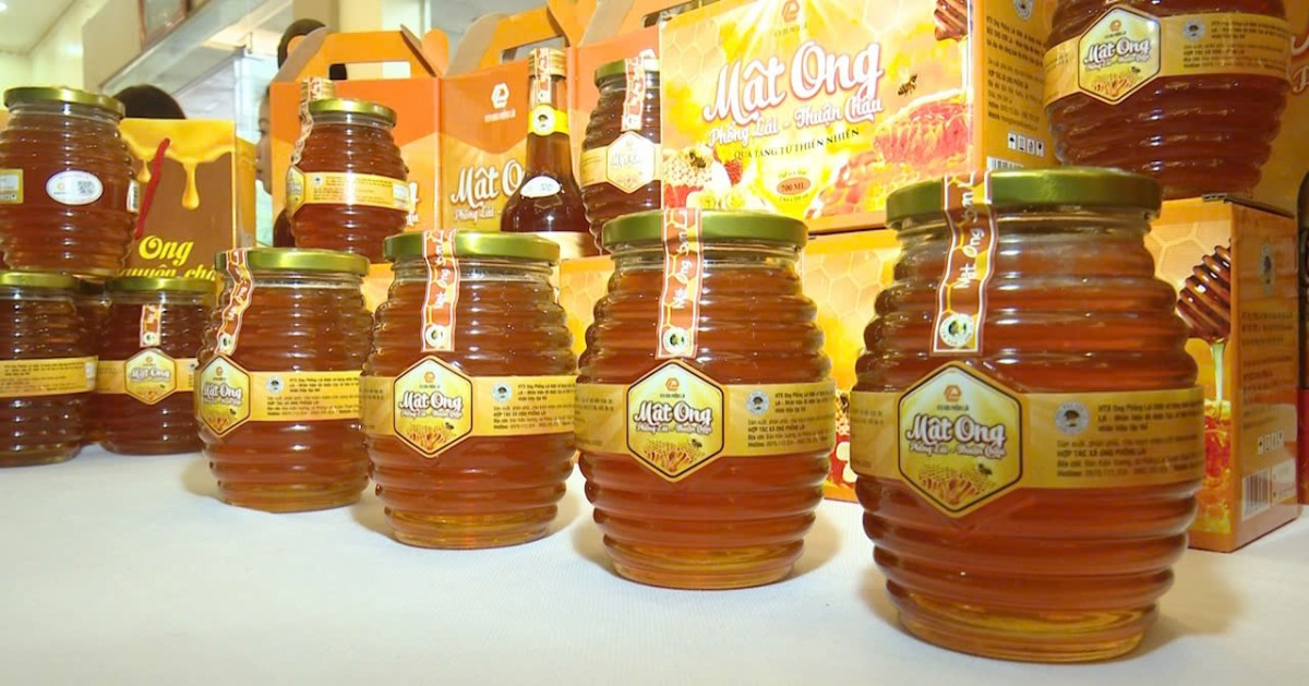 Sản phẩm mật ong của HTX ong Phổng Lái (Thuận Châu, Sơn La) được công nhân sản phẩm OCOP 4 sao. Sản phẩm mật ong của HTX ong Phổng Lái (Thuận Châu, Sơn La) được công nhân sản phẩm OCOP 4 sao.