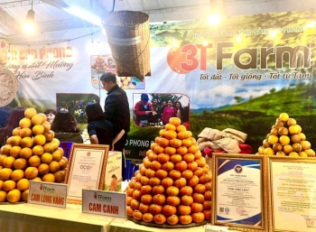 Cam Cao Phong 3T Farm: Tận dụng lợi thế sàn thương mại điện tử để quảng bá nông sản