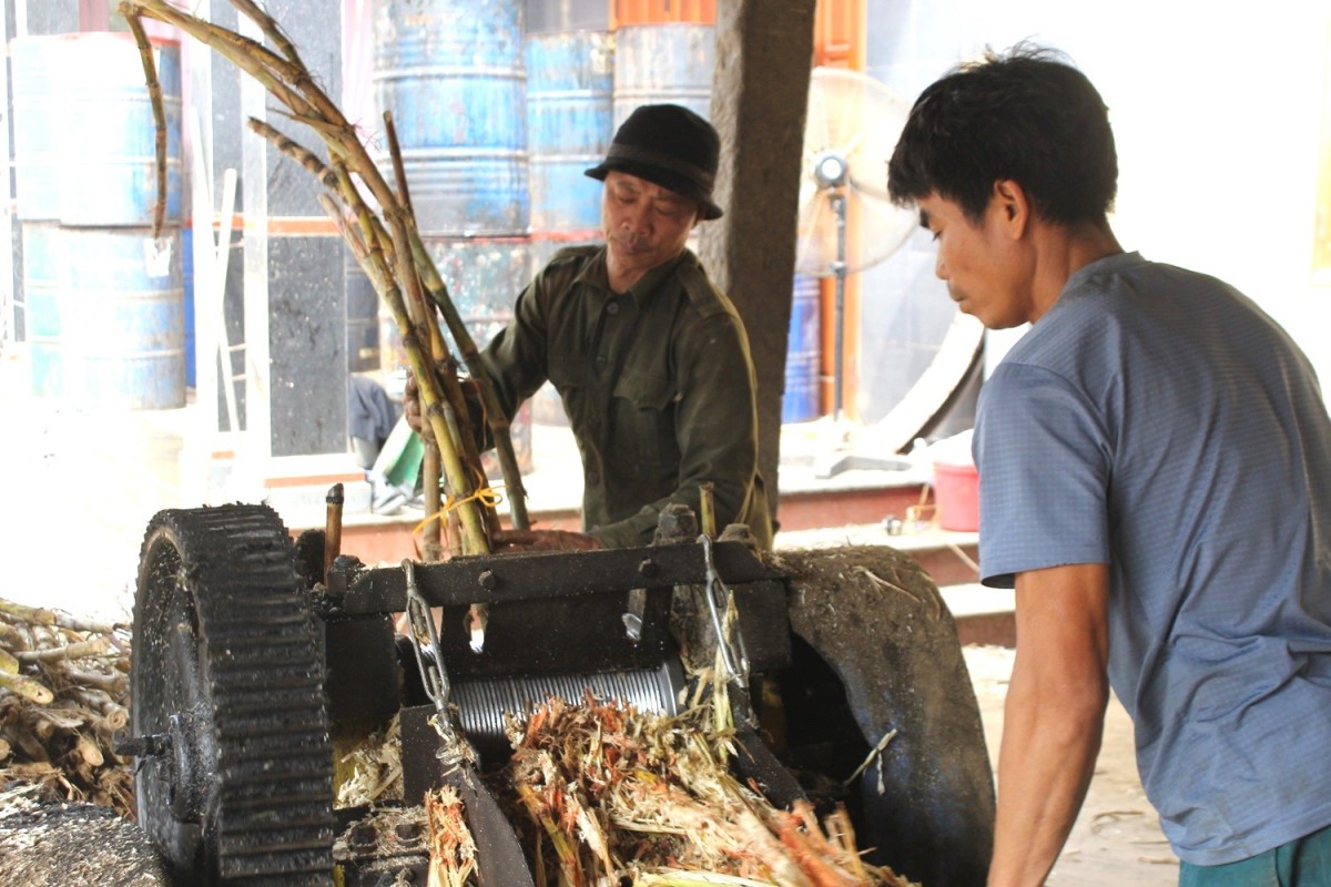 mật mía thạch thành mật mía thạch thành