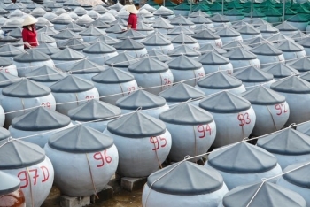 Sàn Việt 'dìu' nước mắm Cá Đen ra biển lớn