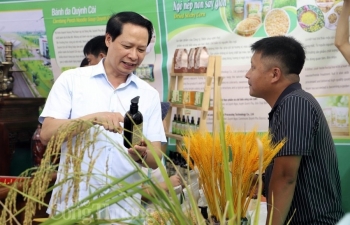 Thái Bình: Ứng dụng chuyển đổi số để đưa nông sản 'cất cánh'