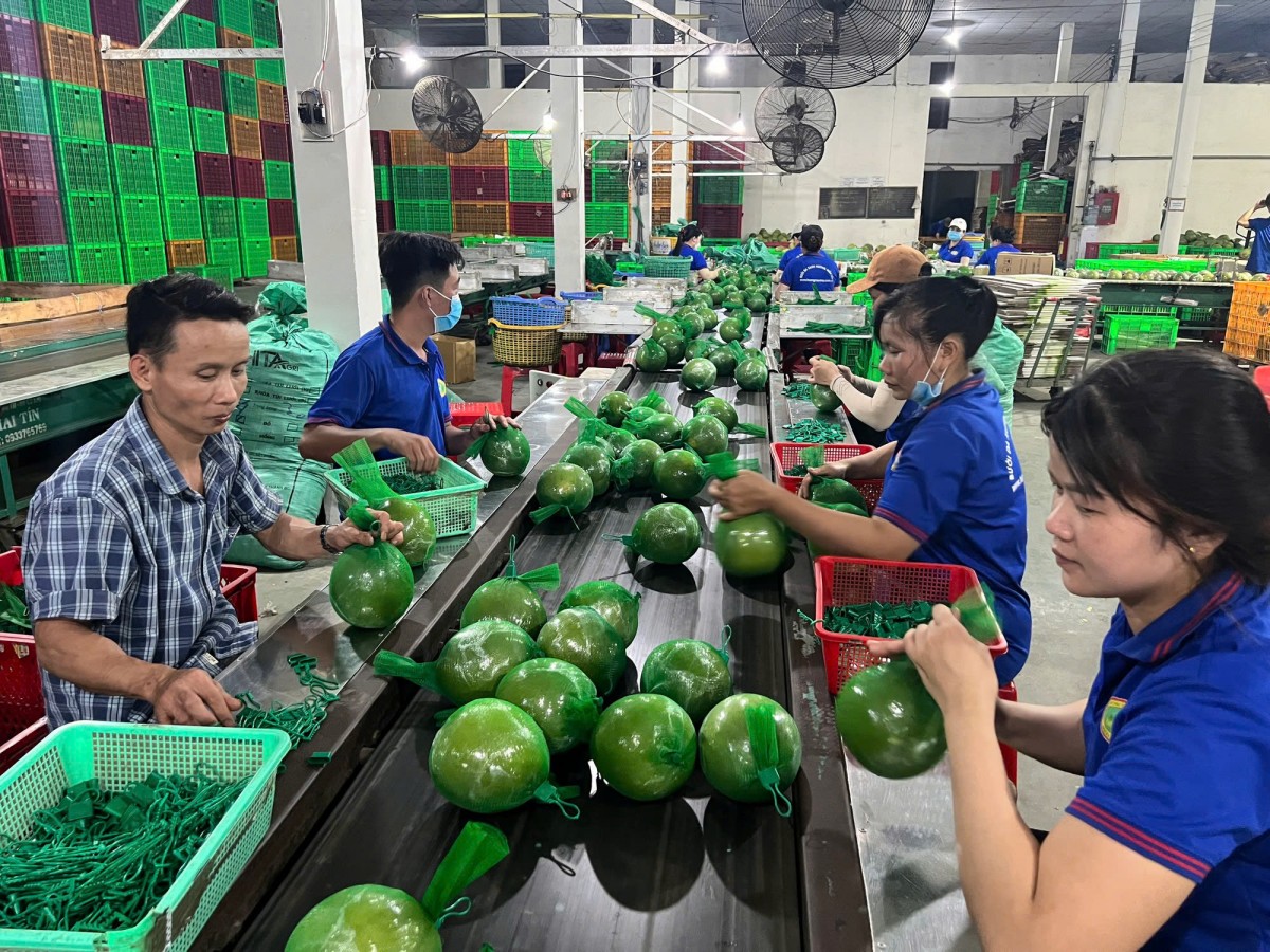 Cổng FTAP: Địa chỉ tin cậy giúp doanh nghiệp, địa phương tối ưu hóa lợi ích từ FTA Cổng FTAP: Địa chỉ tin cậy giúp doanh nghiệp, địa phương tối ưu hóa lợi ích từ FTA