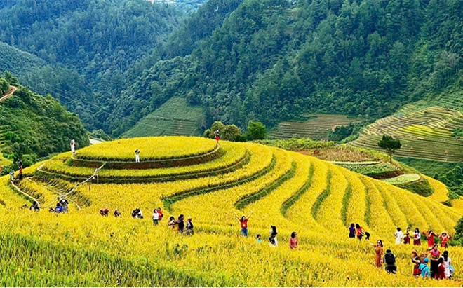 Giải bài toán nhận diện thương hiệu cho du lịch Việt Nam Giải bài toán nhận diện thương hiệu cho du lịch Việt Nam