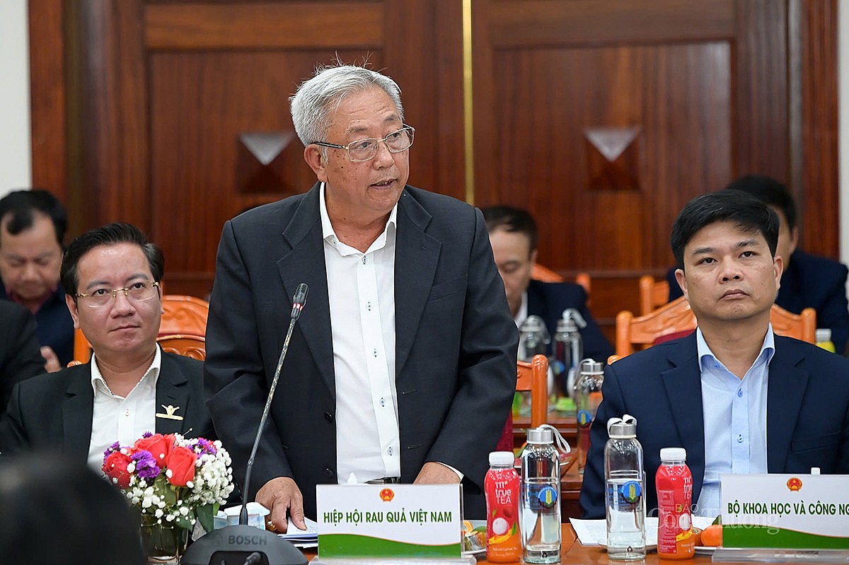 ông Nguyễn Thanh Bình - Chủ tịch Hiệp hội Rau quả Việt Nam phát biểu tại Hội nghị tổng kết năm 2024 của Bộ Nông nghiệp và Phát triển nông thôn diễn ra chiều 27/12 ông Nguyễn Thanh Bình - Chủ tịch Hiệp hội Rau quả Việt Nam phát biểu tại Hội nghị tổng kết năm 2024 của Bộ Nông nghiệp và Phát triển nông thôn diễn ra chiều 27/12