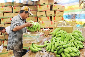 Ngành rau quả đang thiếu thương hiệu có độ nhận diện cao