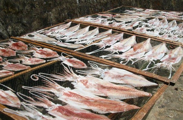 Nguyên liệu sản xuất mực một nắng Cap Phương Nguyên liệu sản xuất mực một nắng Cap Phương