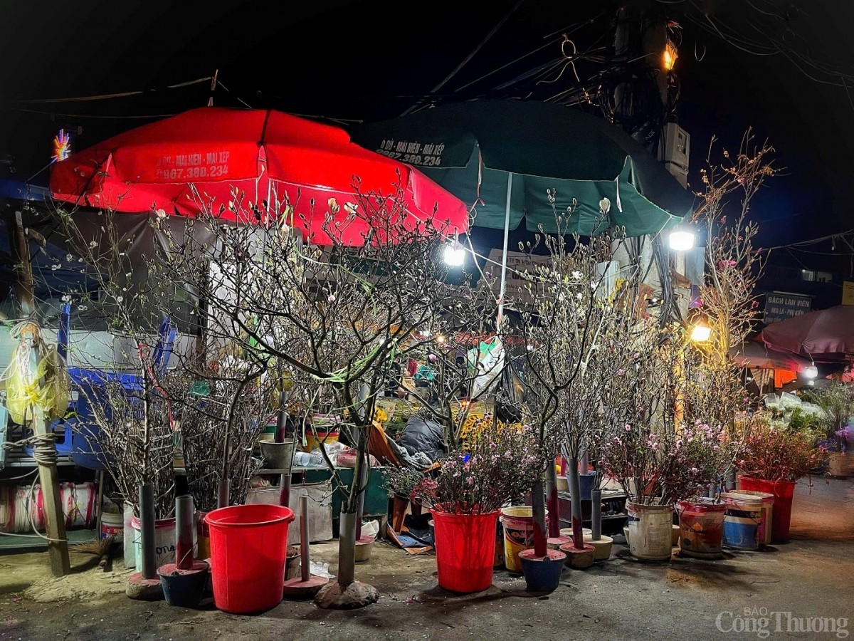 Đêm chợ hoa Quảng An những ngày cận Tết 2025