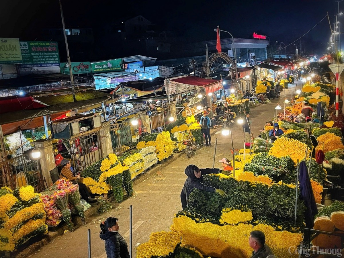 Đêm chợ hoa Quảng An những ngày cận Tết 2025