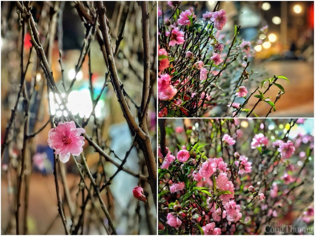 Đêm chợ hoa Quảng An những ngày cận Tết 2025