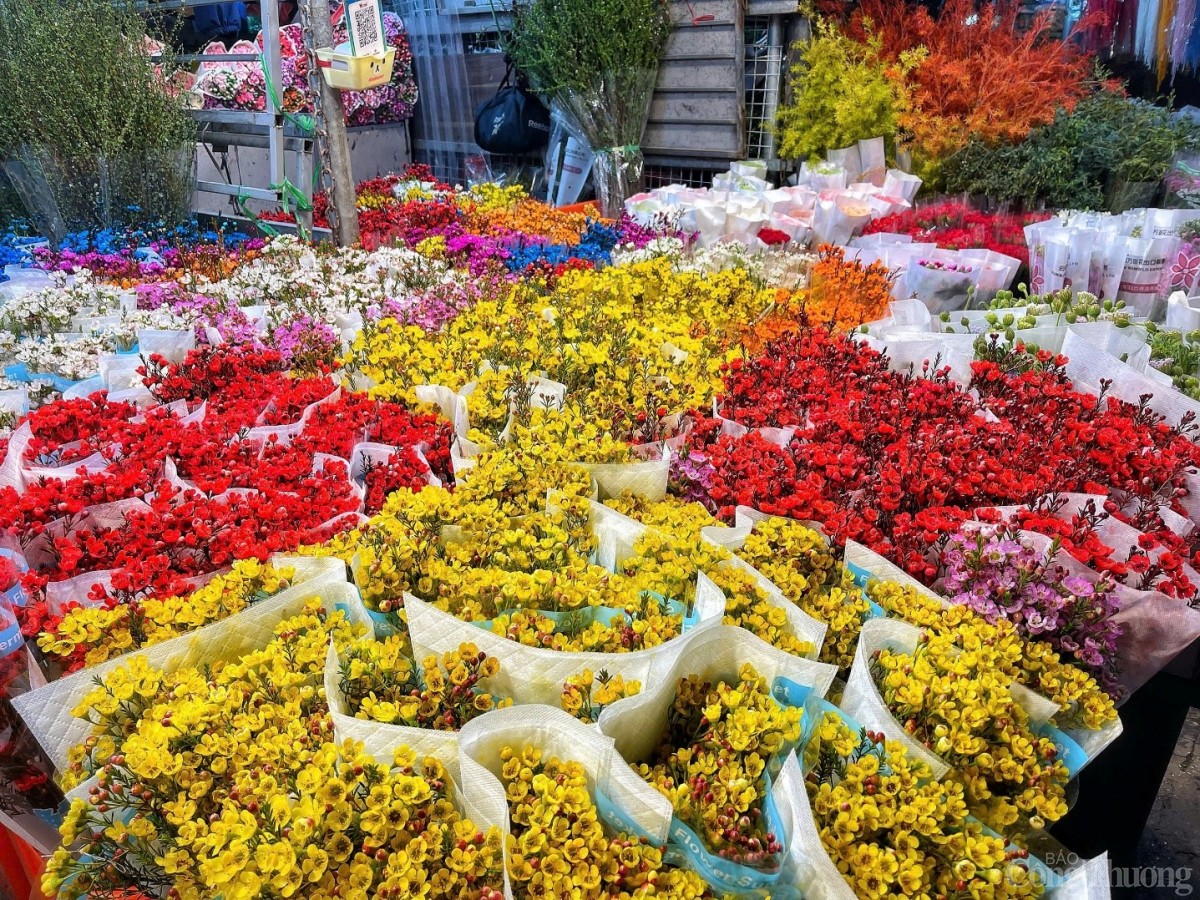 Đêm chợ hoa Quảng An những ngày cận Tết 2025