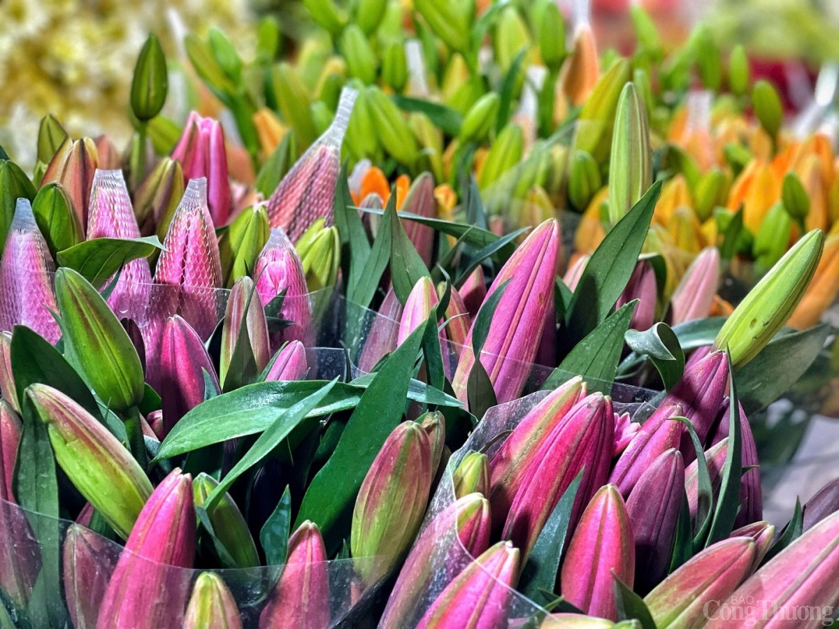 Đêm chợ hoa Quảng An những ngày cận Tết 2025