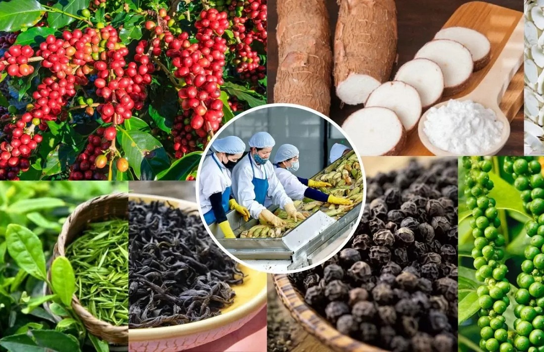 Tổng quan về Thương vụ Việt Nam tại Hà Lan