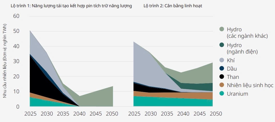 So sánh cơ cấu năng lượng giai đoạn 2025 – 2050 trong 2 lộ trình từ mô phỏng So sánh cơ cấu năng lượng giai đoạn 2025 – 2050 trong 2 lộ trình từ mô phỏng