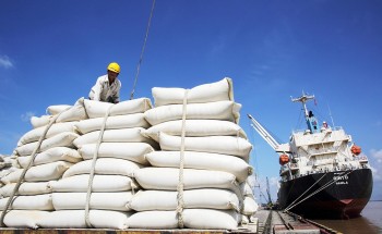 Xuất khẩu của Việt Nam sang thị trường Philippines tăng 22,8%