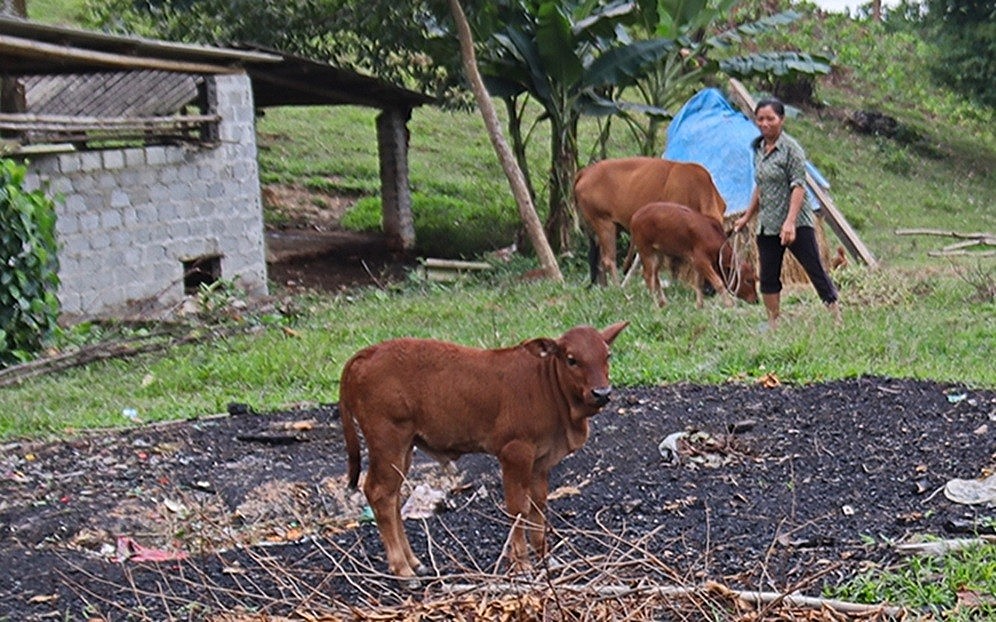 Thanh Hóa: Nhiều kết quả ấn tượng trong công tác giảm nghèo