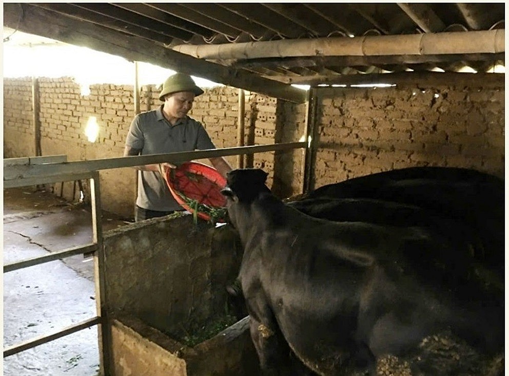 Thanh Hóa: Nhiều kết quả ấn tượng trong công tác giảm nghèo