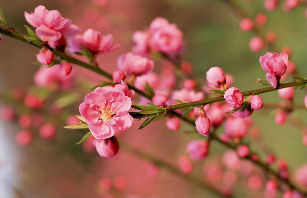 Bộ Công Thương thực hiện Chỉ thị 40 của Ban Bí thư