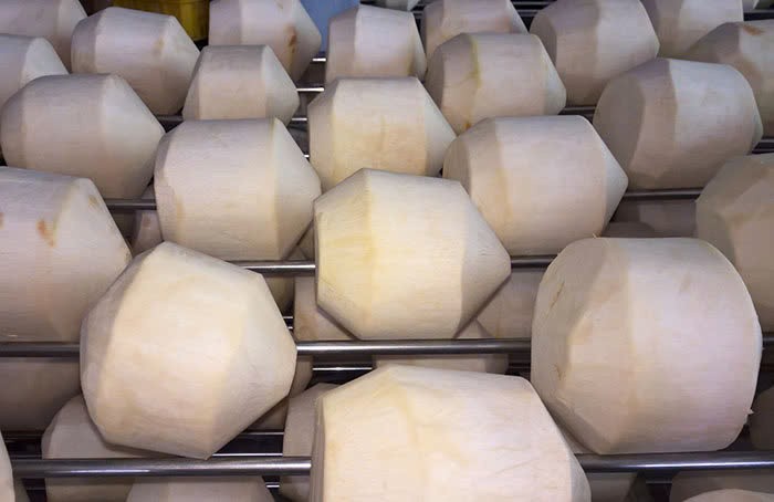 Những trái dừa được sơ chế sạch vỏ trước khi đóng gói xuất khẩu. Ảnh: Chung T