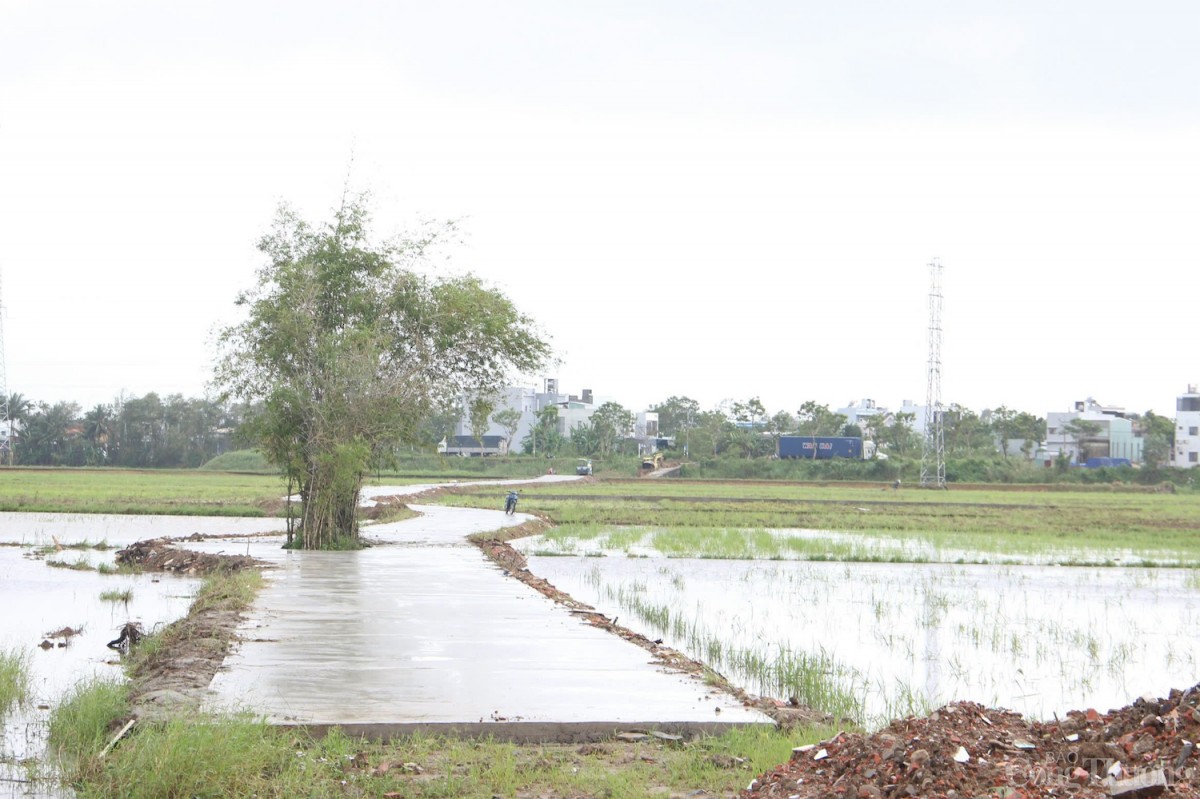 Con đường nội đồng nối thôn Dương Sơn và Phong Nam (xã Hòa Châu) dần hình thành Con đường nội đồng nối thôn Dương Sơn và Phong Nam (xã Hòa Châu) dần hình thành