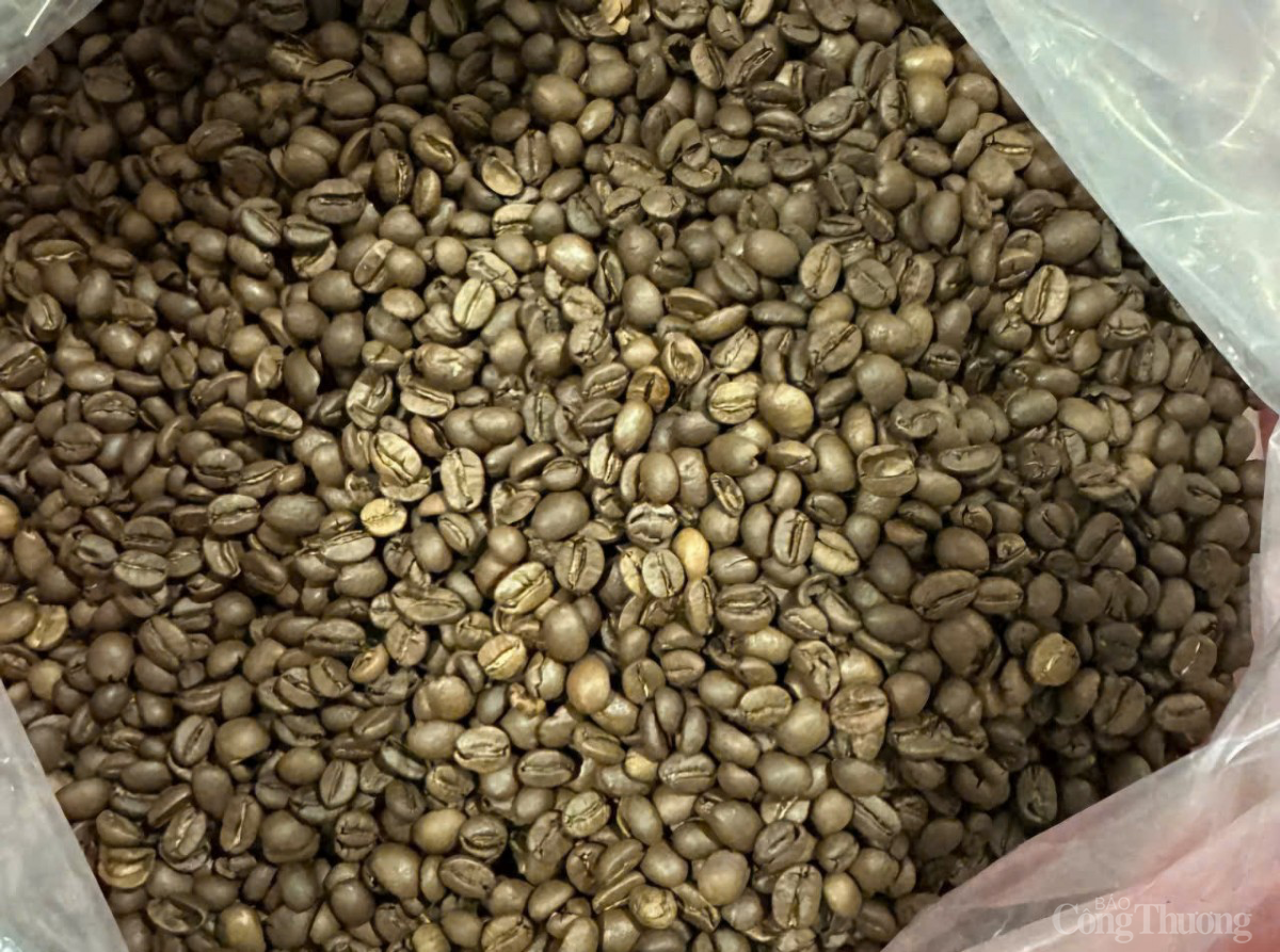 Cà phê được thu hoạch và chuẩn bị rang xay tại thành phố Đà Lạt, tỉnh Lâm Đồng 