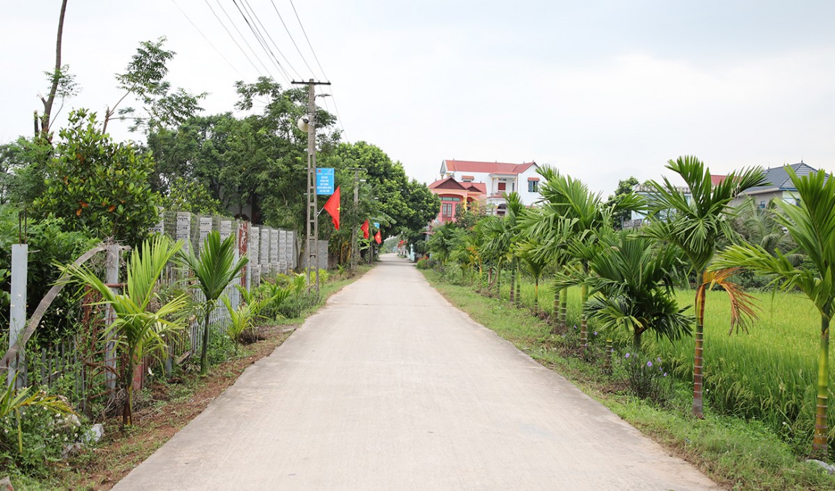 Bắc Giang: Thêm 3 xã đạt chuẩn nông thôn mới năm 2024
