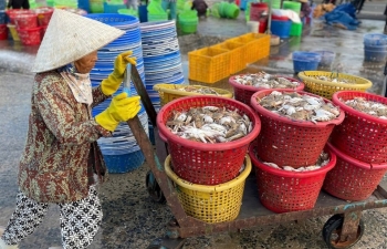 Các địa phương đẩy mạnh khắc phục gỡ 'thẻ vàng' IUU